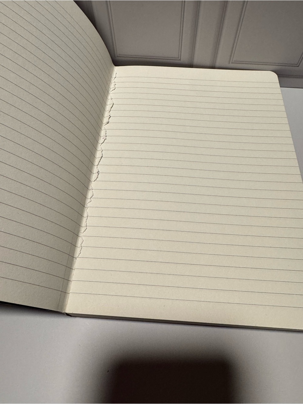Journal - Picture 4 of 4